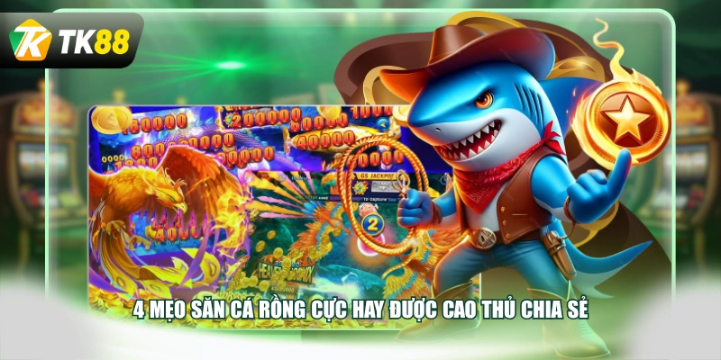 4 mẹo săn cá Rồng cực hay được cao thủ chia sẻ