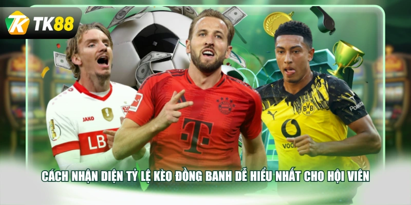 Cách nhận diện tỷ lệ kèo đồng banh dễ hiểu nhất cho hội viên